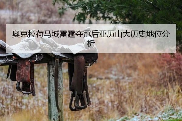 ao-ke-la-he-ma-cheng-lei-ting-duo-guan-hou-ya-li-shan-da-li-shi-di-wei-fen-xi-2-217.jpg