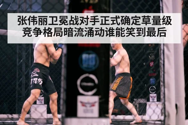 张伟丽卫冕战对手正式确定草量级竞争格局暗流涌动谁能笑到最后